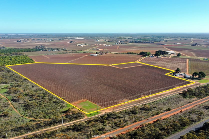 Click to view all images Lot 2 PS216987 Anzac Road Robinvale VIC 3549 - Image 1
