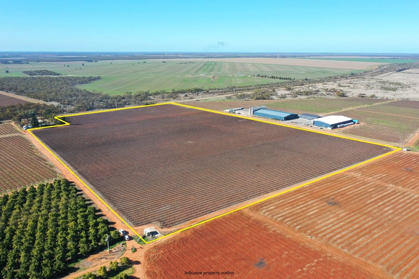 Lot 2 PS507823 Anzac Road Robinvale VIC 3549 - Image 1