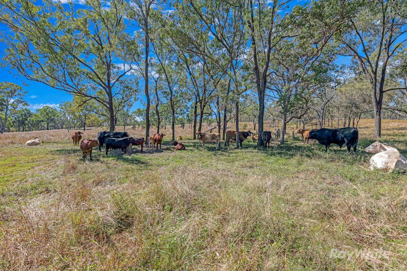 2364 Gin Gin Mount Perry Road New Moonta QLD 4671 - Image 2