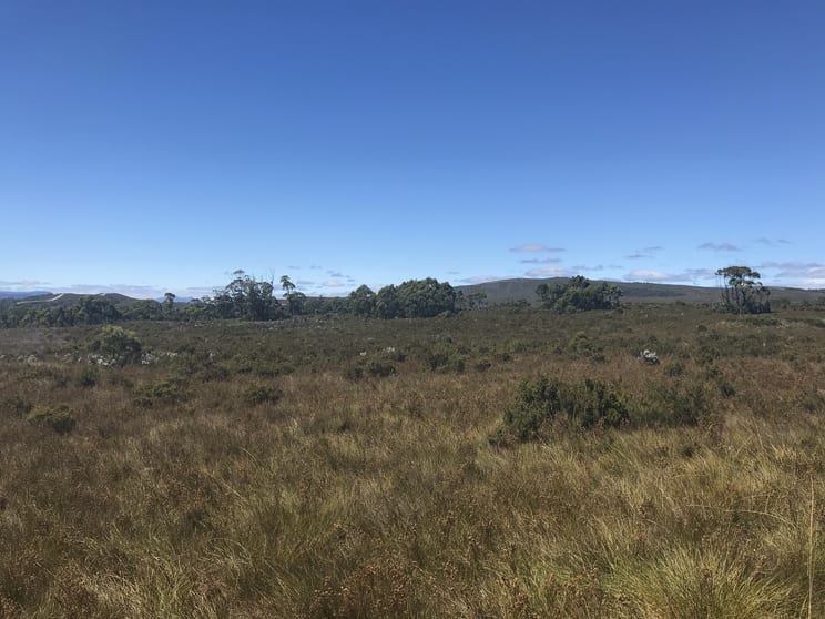 Click to view all images 499 Heemskirk Road Zeehan TAS 7469 - Image 2