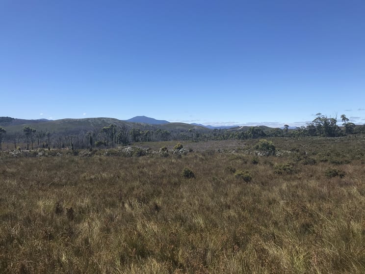 Click to view all images 499 Heemskirk Road Zeehan TAS 7469 - Image 3