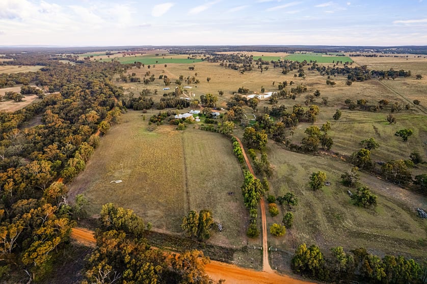 Keadool/2633 Brooks Rd Purlewaugh NSW 2357 - Image 3