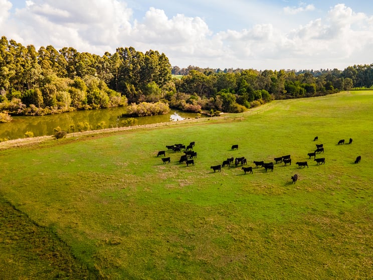 131 Price Road Chapman Hill WA 6280 - Image 3