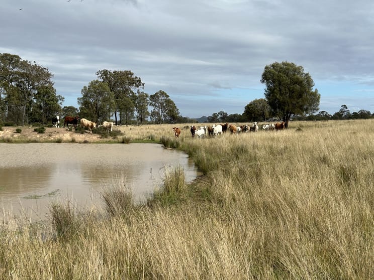 Click to view all images Lot 1 & 3 Kampfs Road Goombungee QLD 4354 - Image 1