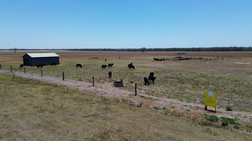 Lot 1 Brymaroo Irvingdale Road Brymaroo QLD 4403 - Image 1