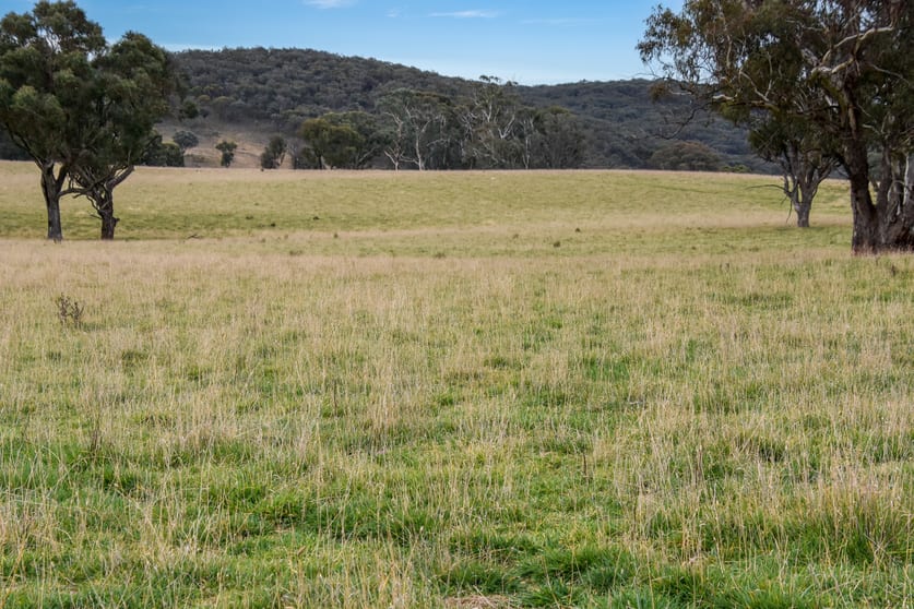 2625 Trunkey Road Caloola NSW 2795 - Image 2