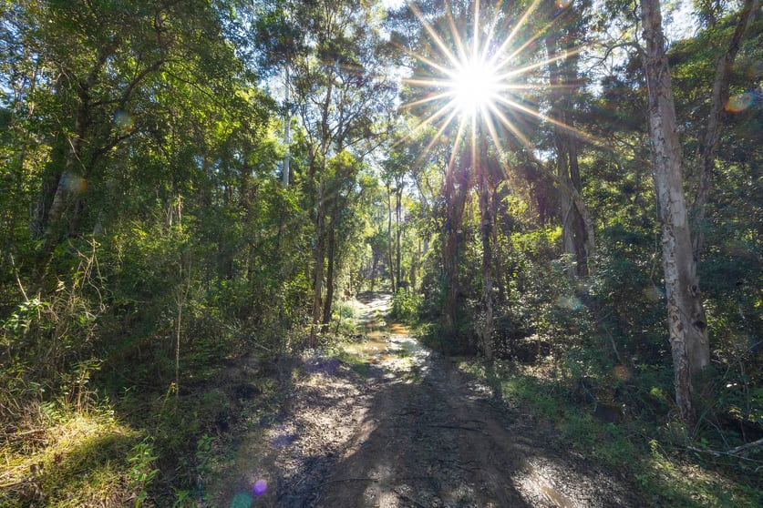 Click to view all images 144 Willina Road Coolongolook NSW 2423 - Image 2