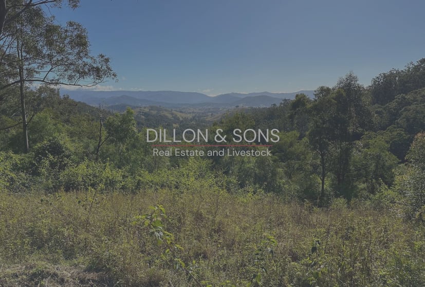 129 Quartpot Creek Road Dungog NSW 2420 - Image 1