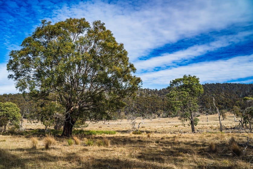 Click to view all images 1503 Deddington Road Deddington TAS 7212 - Image 2