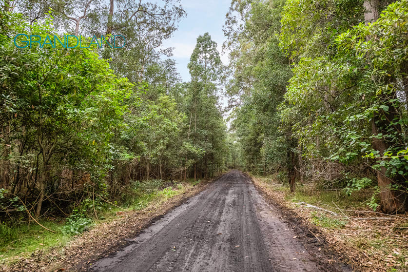 Click to view all images 140 Braddocks Road Werombi NSW 2570 - Image 3
