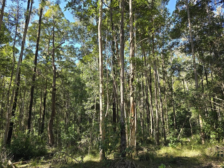 Click to view all images 0 SUNDAY CREEK ROAD Jimna QLD 4515 - Image 3
