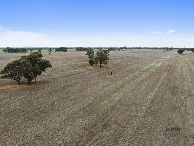 Click to view all images 0 Morgans Lane Tabilk VIC 3607 - Image 2