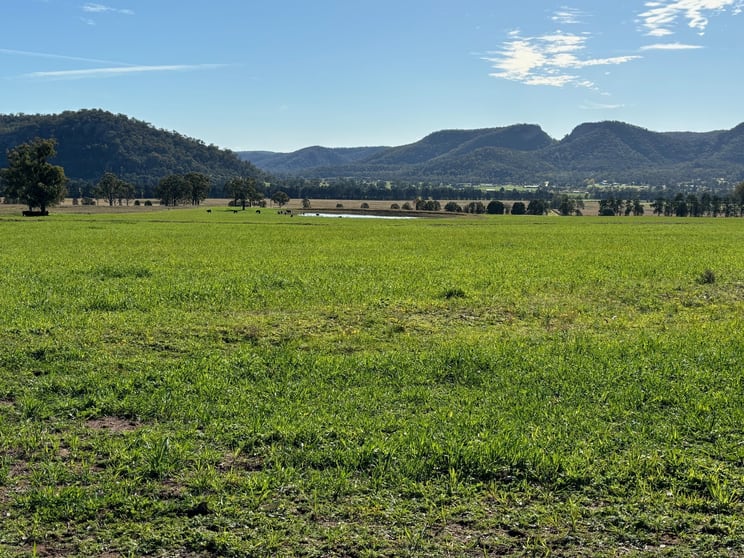 Click to view all images 100 Richmond Grove Road Sandy Hollow NSW 2333 - Image 2