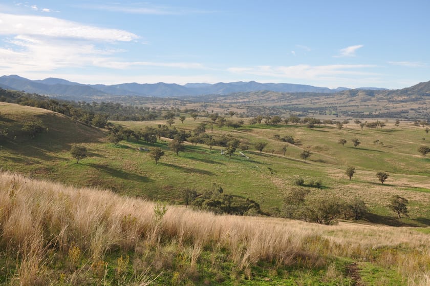 'Glenroy' Tyrone Rd, Bunnan via Scone NSW 2337 - Image 1