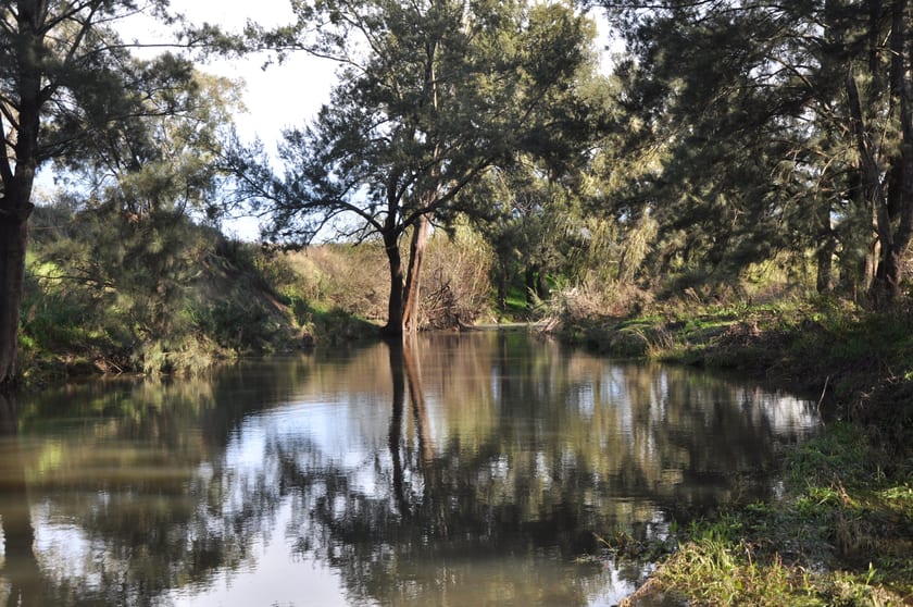 'Glenroy' Tyrone Rd, Bunnan via Scone NSW 2337 - Image 2