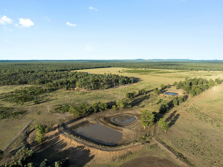 Click to view all images 349 Boondandilla Road Bulli Creek QLD 4357 - Image 3