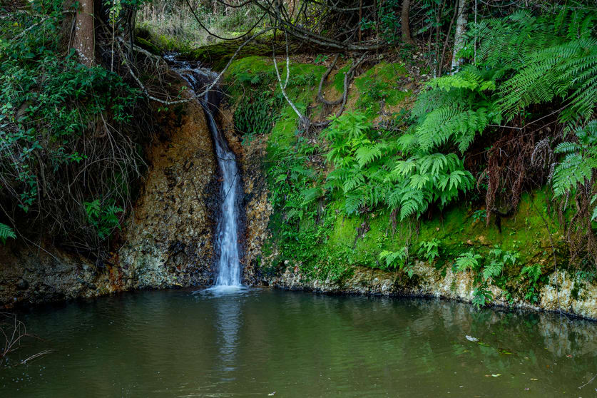 Click to view all images Sleepy Hollow NSW 2483 - Image 2