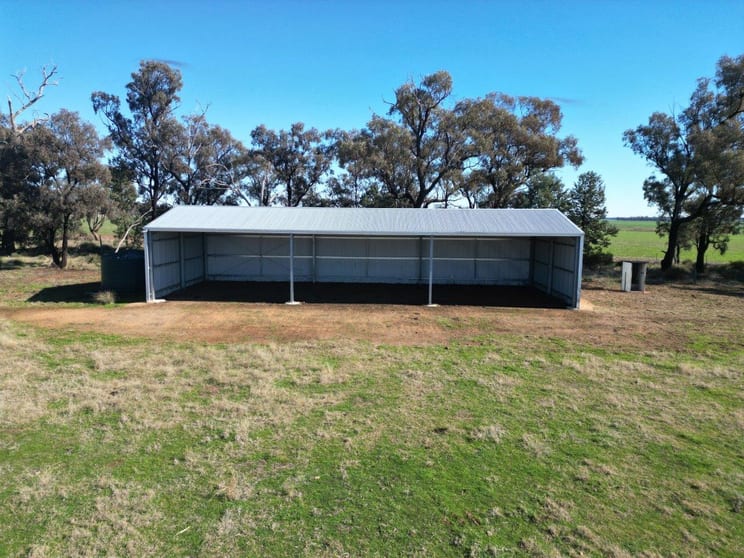 'Wildwood' 977 Schmidts Road Temora NSW 2666 - Image 2