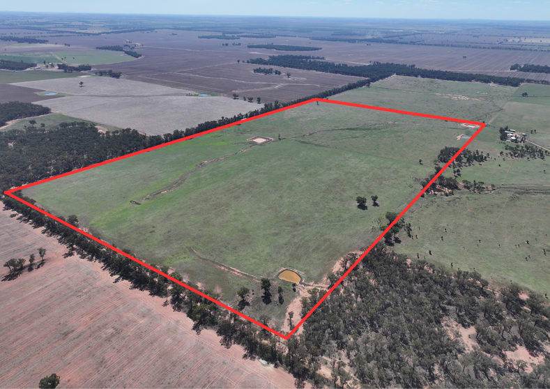 'Wildwood' 977 Schmidts Road Temora NSW 2666 - Image 1