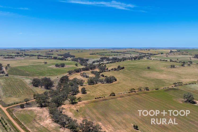 131/ Berry Road St Kitts SA 5356 - Image 1