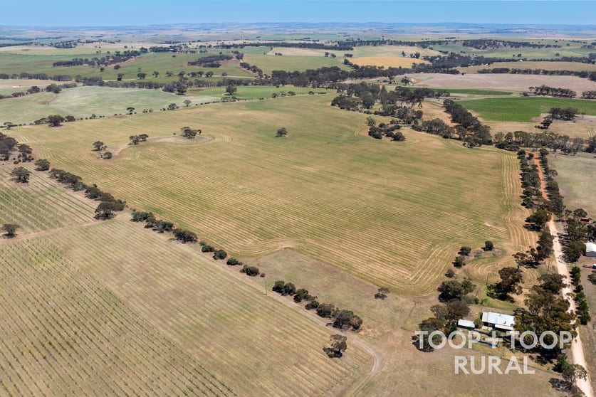 131/ Berry Road St Kitts SA 5356 - Image 3