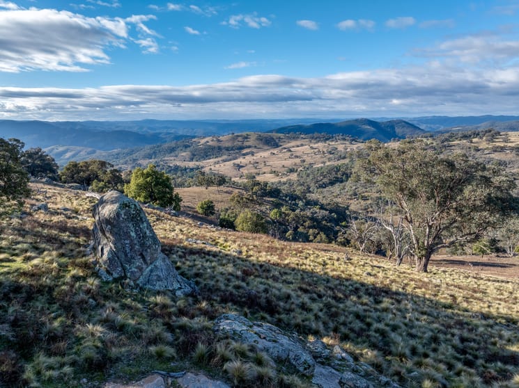 Click to view all images 498 Decca Road Bigga NSW 2583 - Image 3
