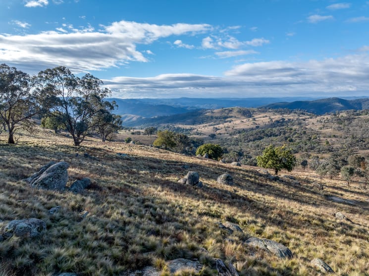 Click to view all images 498 (LOT A) Decca Road Bigga NSW 2583 - Image 3