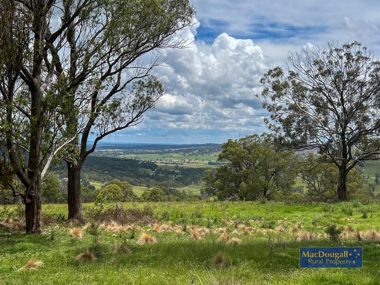 93 Armidale Gully Road Armidale NSW 2350 - Image 1