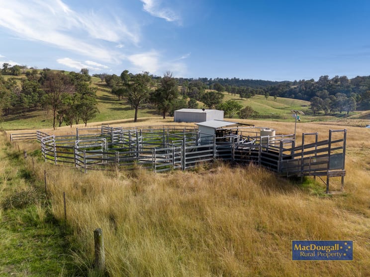93 Armidale Gully Road Armidale NSW 2350 - Image 3