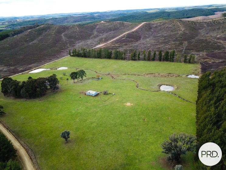 Click to view all images 233 Logans Road Tumbarumba NSW 2653 - Image 1