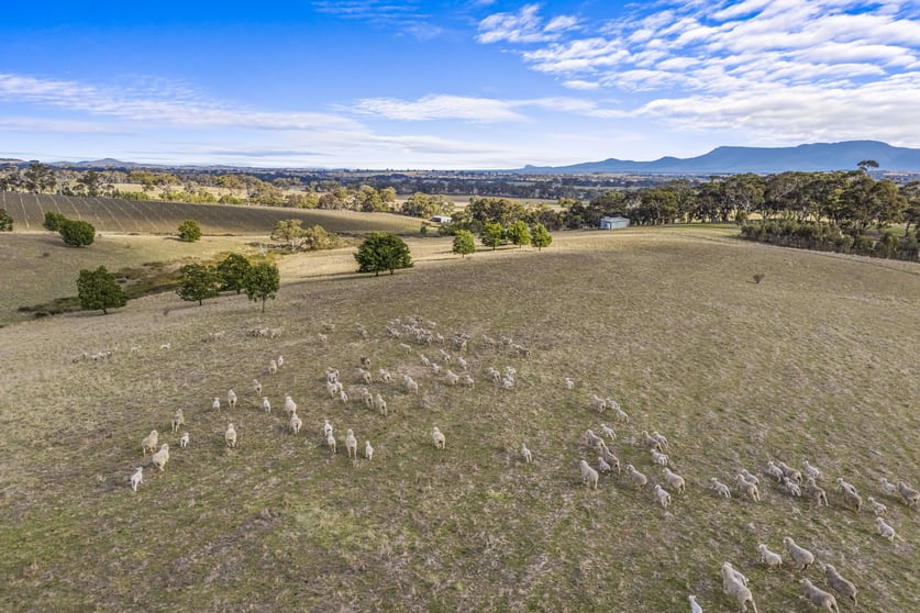 Click to view all images Lots 50A-15 Westgate Road Armstrong VIC 3377 - Image 3
