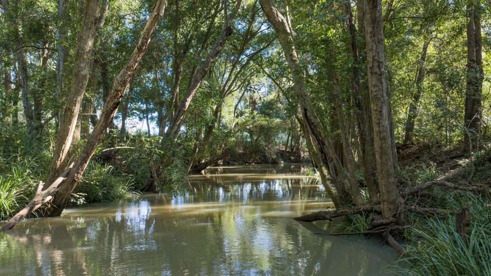 60 Coonoongibber Creek Road Brooloo QLD 4570 - Image 3