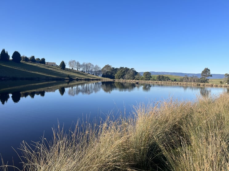 Click to view all images 140 Peddles Road Legerwood TAS 7263 - Image 2