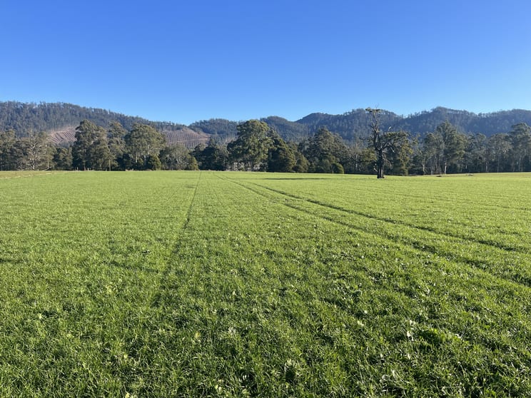 Click to view all images 140 Peddles Road Legerwood TAS 7263 - Image 3