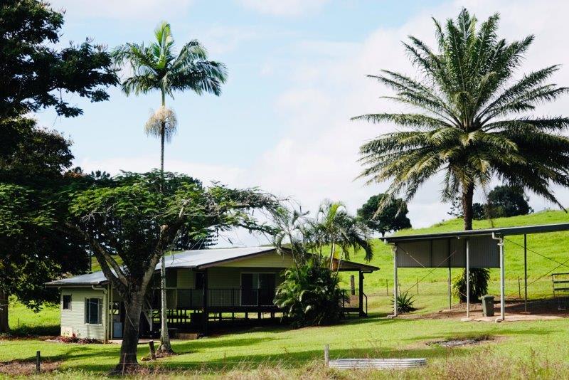 Click to view all images 1297 Mossman-Mount Molloy Road Julatten QLD 4871 - Image 3
