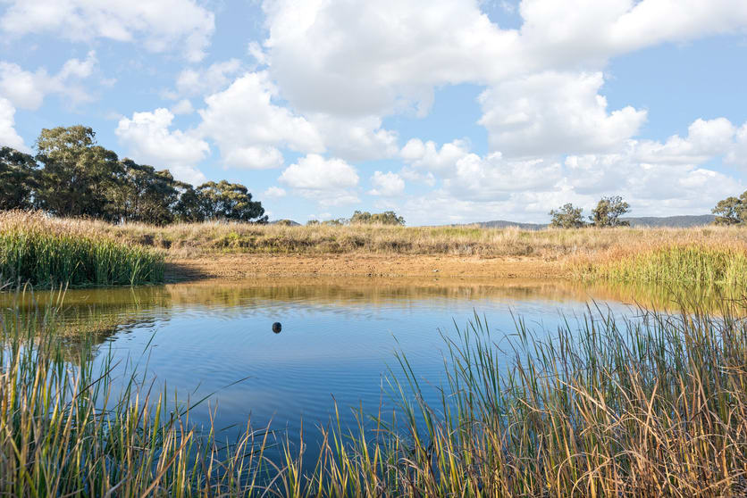 Click to view all images 73 Carara Road Mudgee NSW 2850 - Image 3
