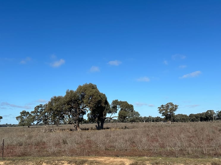 00 Corner Nelsons & Koondrook Road Cohuna VIC 3568 - Image 3