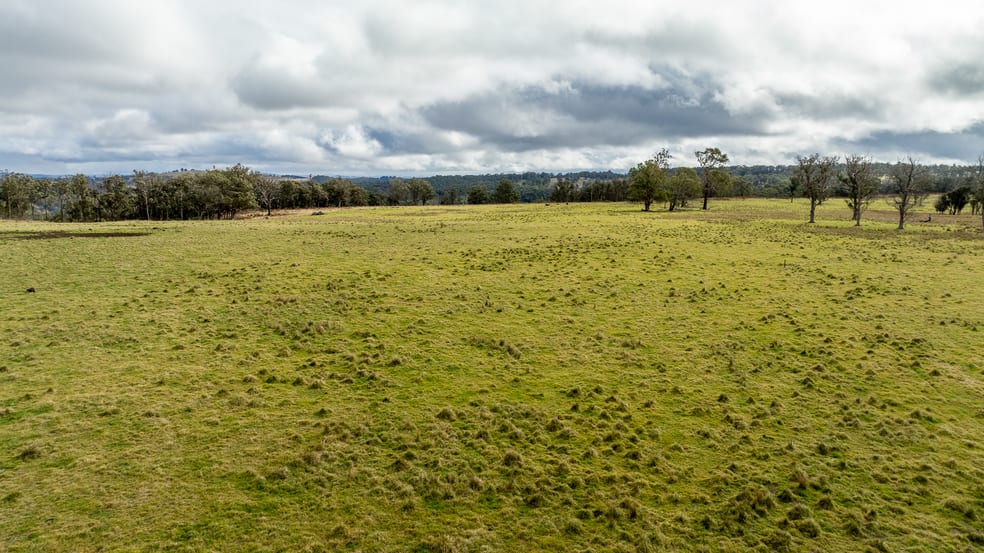 Click to view all images 737 Dyamberin Road Wongwibinda NSW 2350 - Image 2