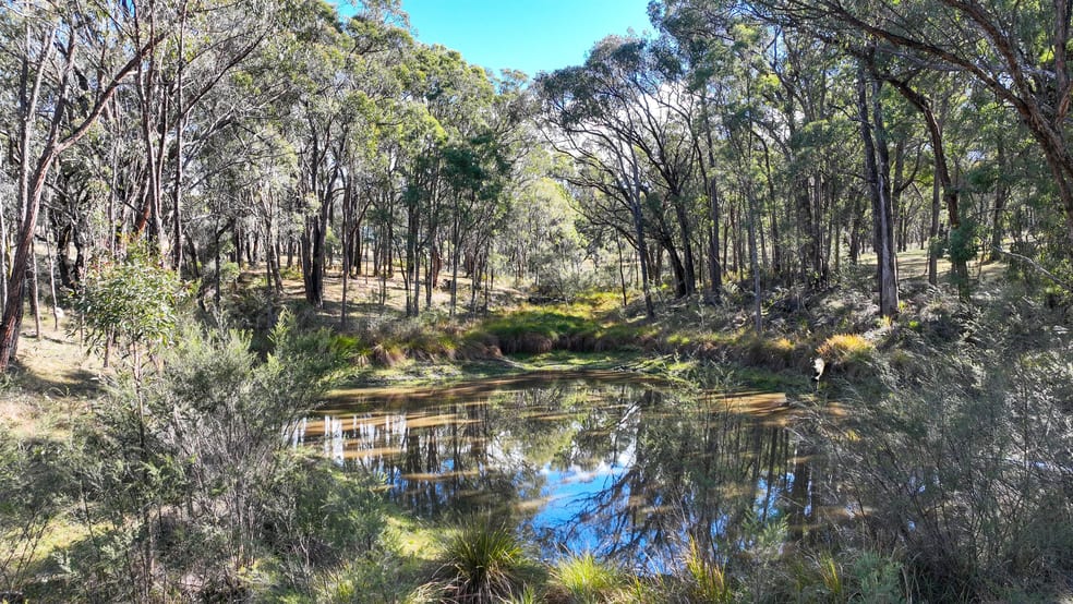 Click to view all images 504 Roseneath Road Watsons Creek NSW 2355 - Image 2