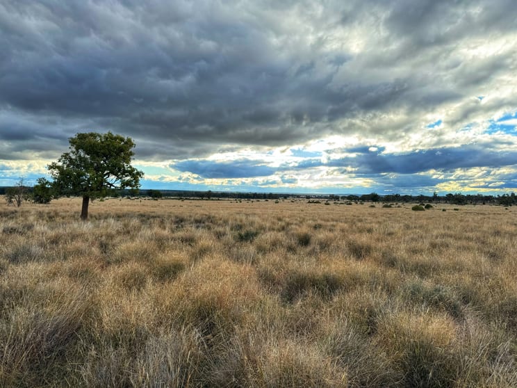 Click to view all images 281 Gobondery Road Tullamore NSW 2874 - Image 2