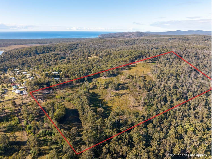 Click to view all images Lot 262 Adelaide Avenue Wonboyn Via Eden NSW 2551 - Image 1