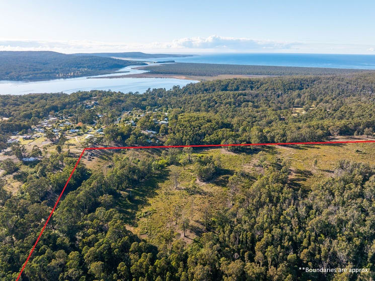 Click to view all images Lot 262 Adelaide Avenue Wonboyn Via Eden NSW 2551 - Image 3