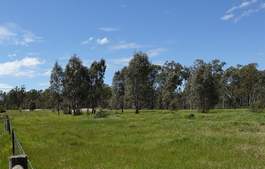 Click to view all images 158 Box Hill Lane Upotipotpon VIC 3669 - Image 2