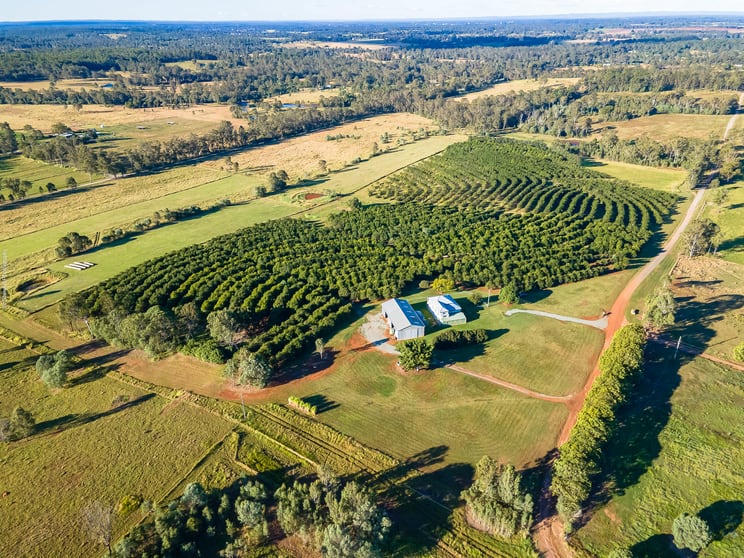 126 Irrawarra Road Grahams Creek QLD 4650 - Image 2