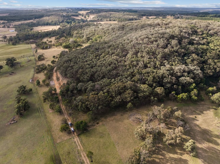 125 Ambrose St Marulan NSW 2579 - Image 3