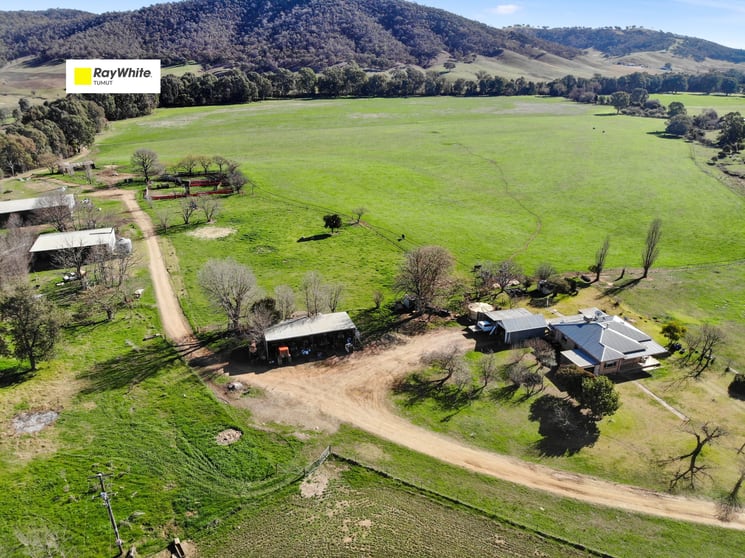 Click to view all images 2621 Westbrook Road Tarcutta NSW 2652 - Image 1