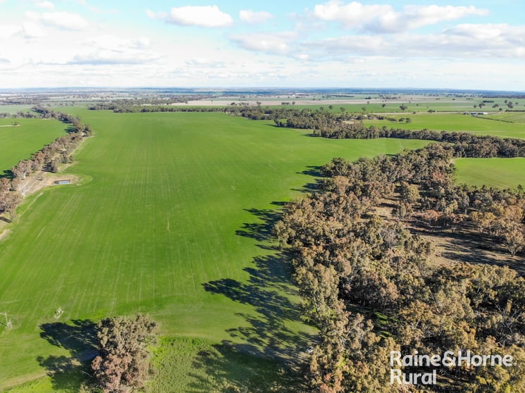 Click to view all images Gerrybang Road Grenfell NSW 2810 - Image 3