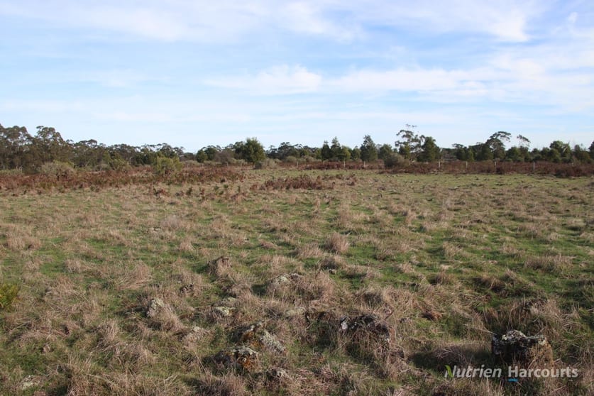 Click to view all images 1805 Princes Highway Pirron Yallock VIC 3249 - Image 3