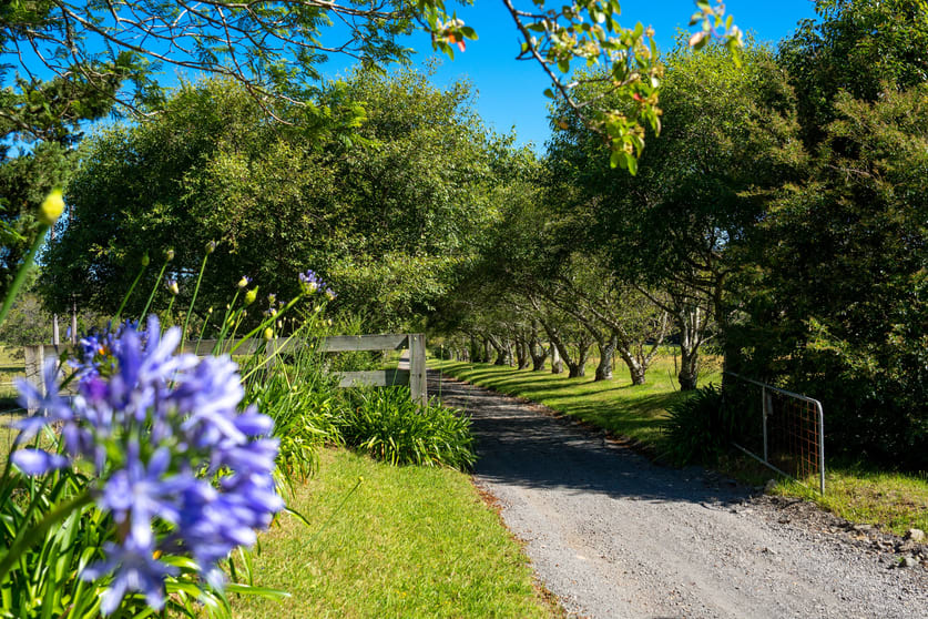 Click to view all images 141 Woodhill Mountain Road Broughton Vale NSW 2535 - Image 3