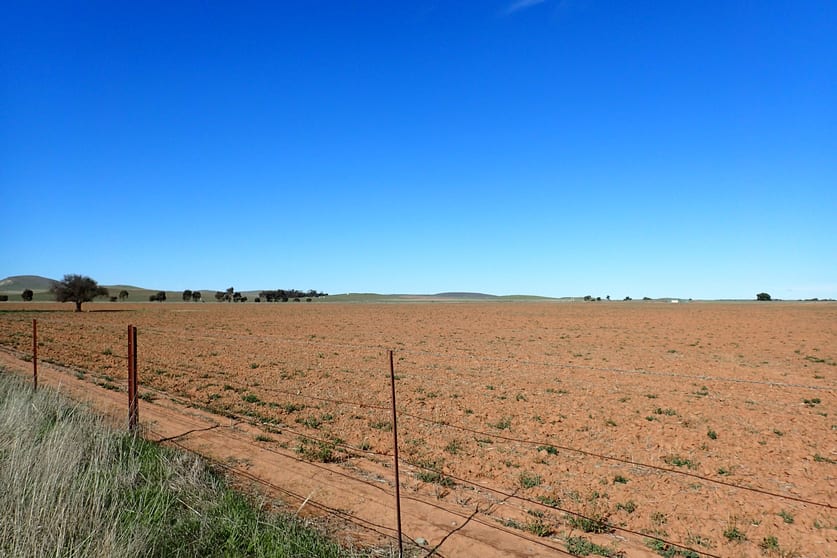 Click to view all images Sec 645, 646, 647, 6 Penshurst & Quinn Road Booborowie SA 5417 - Image 2